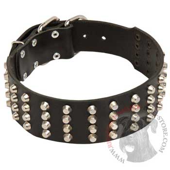2 Inches Leather   Riesenschnauzer Collar Extra Wide Studded