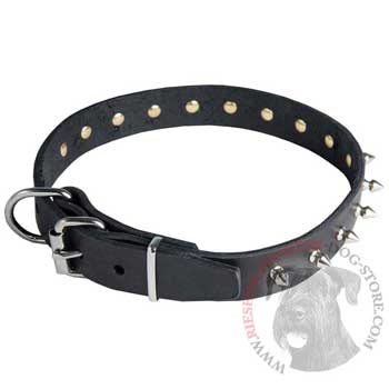 Riesenschnauzer Leather Collar with Spikes