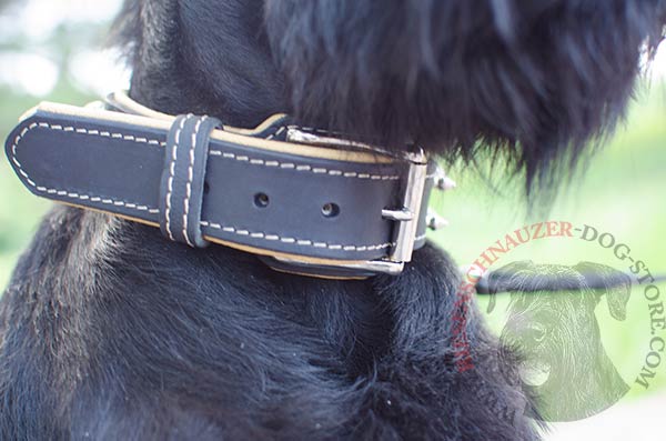 Spiked collar padded with soft to the touch Nappa leather 