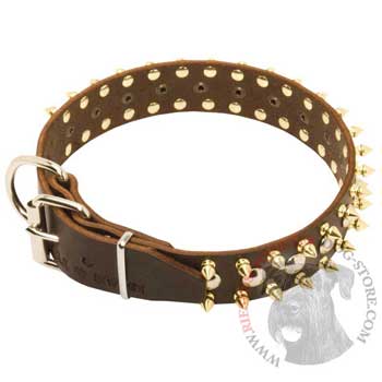 Leather Riesenschnauzer Collar with Rust-proof Decoration