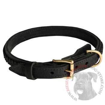 Riesenschnauzer Leather Braided Collar with Solid Hardware