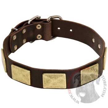 Leather Riesenschnauzer Collar with Fashionable Studs