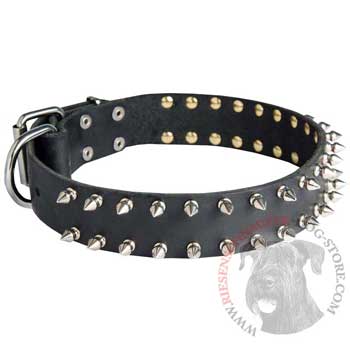 Spiked Leather Collar for BRED-NAME