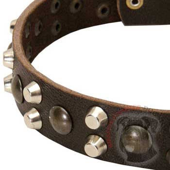 Leather Riesenschnauzer Collar with Hand Set Studs