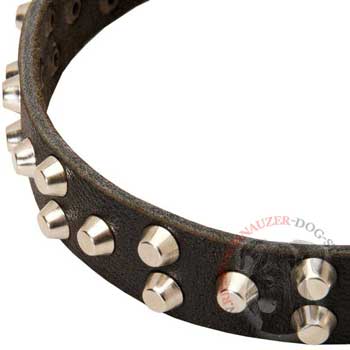 Leather Riesenschnauzer Collar Durable Stud Decorated