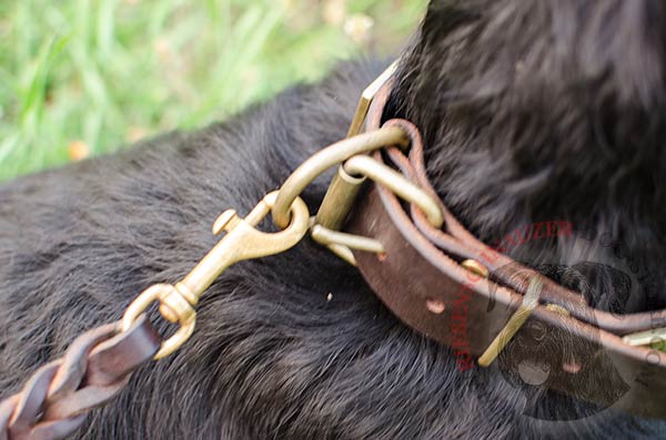 Strong brass buckle and D-ring for leash attachment on leather collar