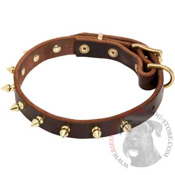 Leather Riesenschnauzer Collar with Brass Spikes