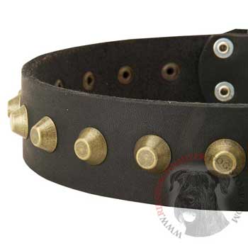 Leather Dog Collar with Brass Pyramids for Riesenschnauzer