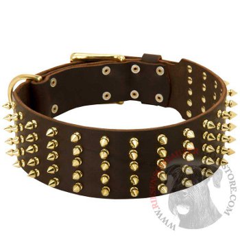 Leather Riesenschnauzer Collar with Solid Buckle and D-ring