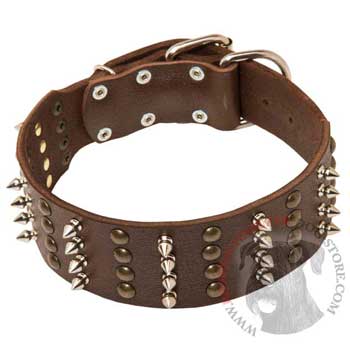 Leather Collar for Riesenschnauzer Walking in Style 