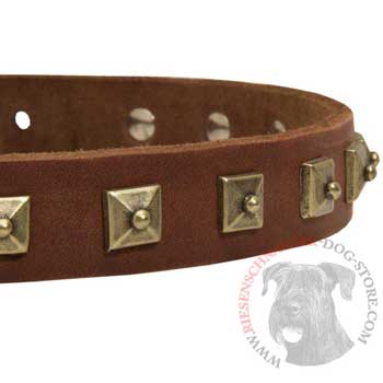 Riesenschnauzer Leather Collar With Square  Studs