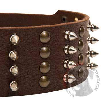 Riesenschnauzer Leather Collar with Rust-proof Fittings