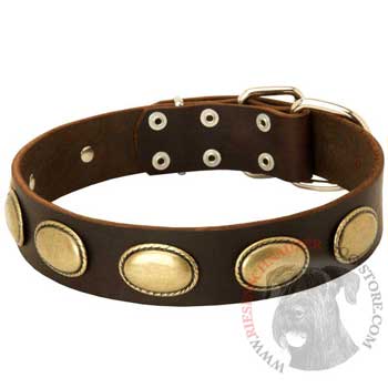 Fashsion Leather Collar with Vintage Plates