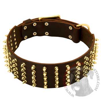 Fashionable Spiked Leather Riesenschnauzer Collar