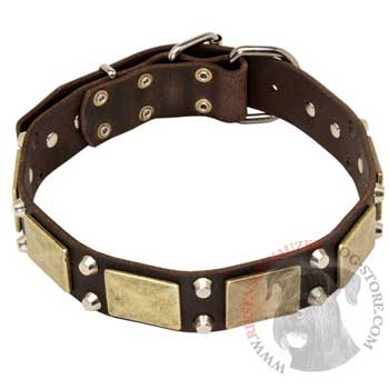 Nickel Studded Leather BRED-NAME Collar