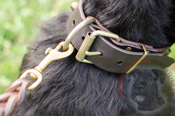 Studded leather Riesenschnauzer collar with durable hardware