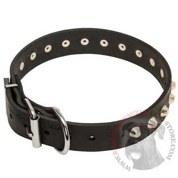 Training Walking Leather Dog Collar with Buckle for Riesenschnauzer