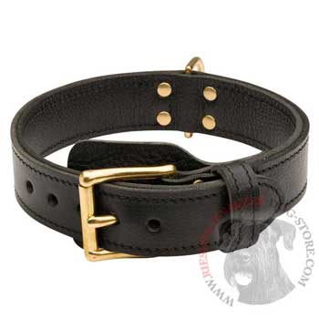 Riesenschnauzer  Leather Collar with Easy in Use Buckle