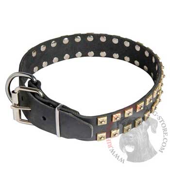 Leather Riesenschnauzer Collar with Solid Rivets
