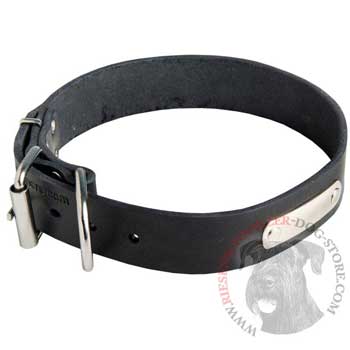 Leather Riesenschnauzer Collar for Identification