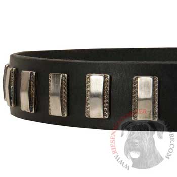 Stylish Leather Collar with Vintage Plates for Riesenschnauzer