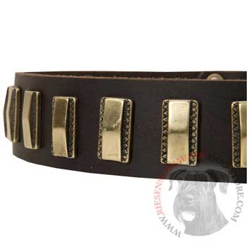 Leather Dog Collar with Adornment for Riesenschnauzer