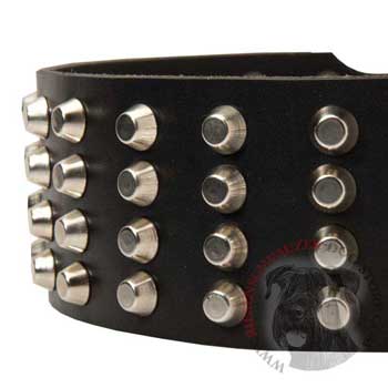 Leather Dog Collar with Studs for   Riesenschnauzer