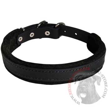 Riesenschnauzer Collar Leather for Dog Protection Attack Training