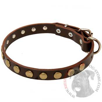 Leather Studded Dog Collar for BREEd-NAME Walking