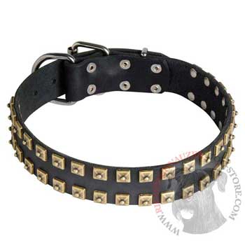 Leather Riesenschnauzer Collar with Firm Studs