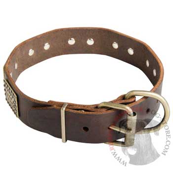 War-Style Leather Collar for Riesenschnauzer