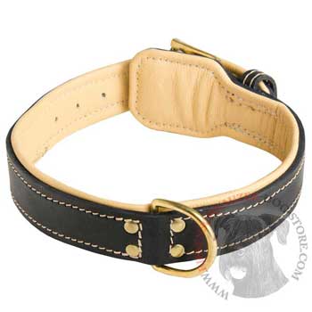 Leather Dog Collar Padded for Riesenschnauzer Off Leash Training