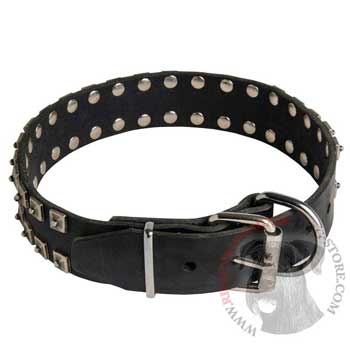 New Buckle Leather Riesenschnauzer Collar Studded New Adjustable