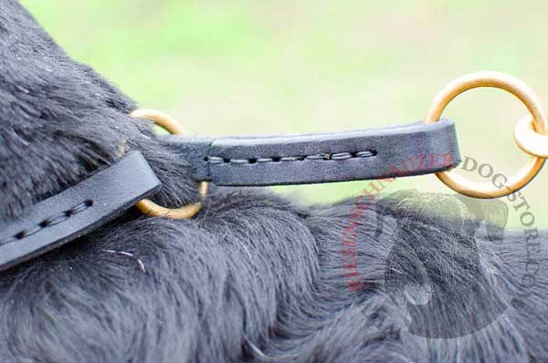 Durable brass O-ring readily attachable for leash