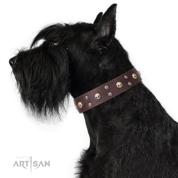 Easy wearing adorned dog collar of durable leather