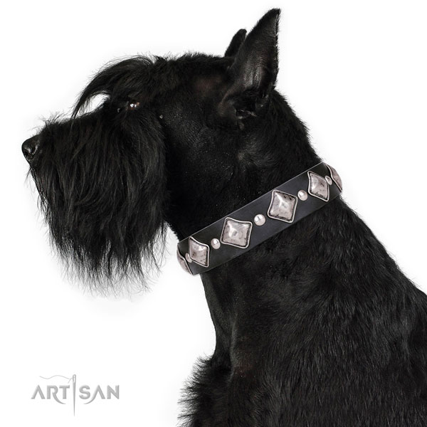Stylish walking embellished dog collar of fine quality genuine leather