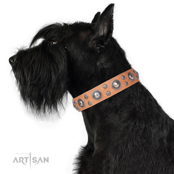 Handy use studded dog collar of fine quality leather