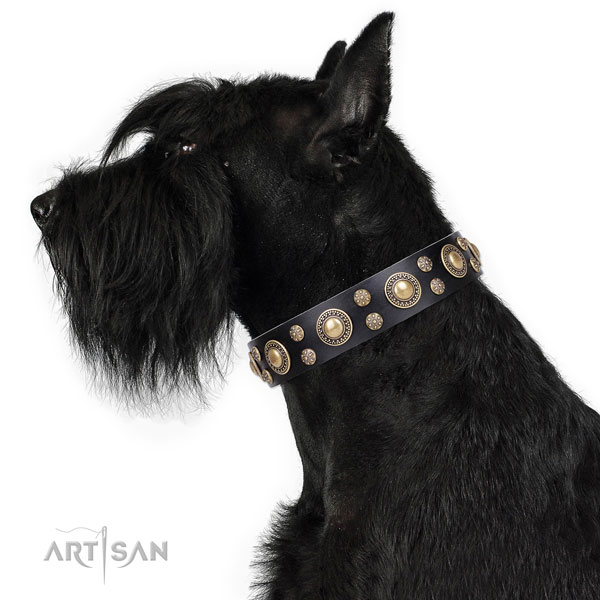 Comfy wearing adorned dog collar of reliable natural leather