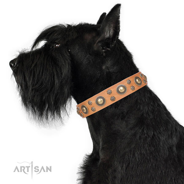 Everyday use studded dog collar of best quality material