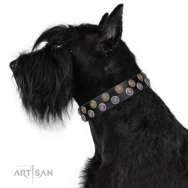 Handy use adorned dog collar of best quality material