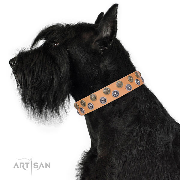 Comfortable wearing embellished dog collar of durable material