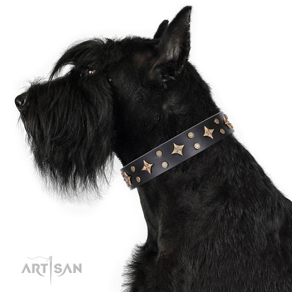 Comfy wearing studded dog collar of finest quality material