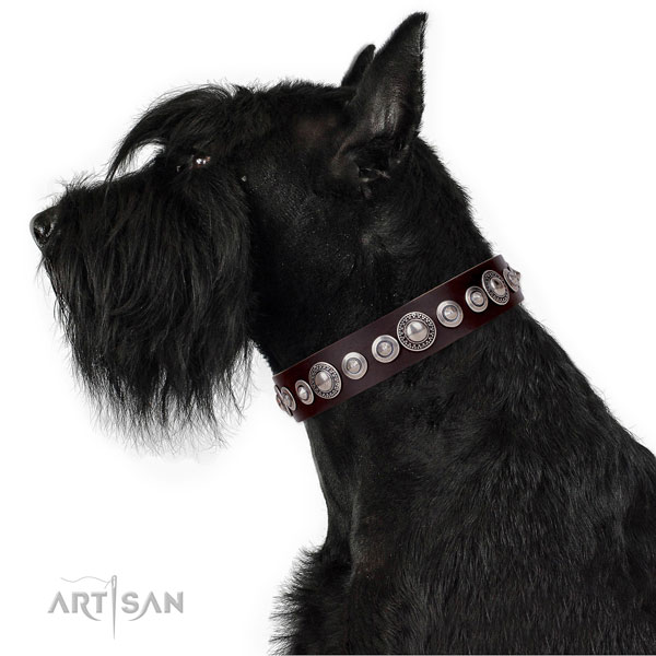 Trendy adorned leather dog collar for basic training