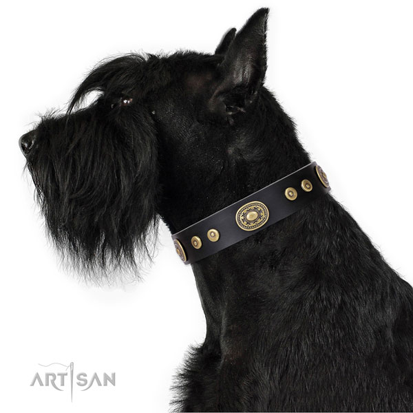 Awesome decorated genuine leather dog collar for walking