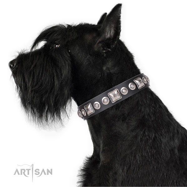 Designer adorned leather dog collar for comfortable wearing