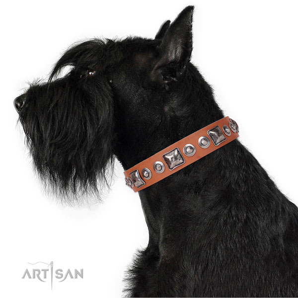 Stylish design adorned leather dog collar for basic training