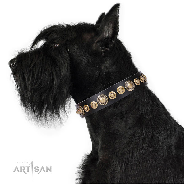 Stylish design adorned natural leather dog collar