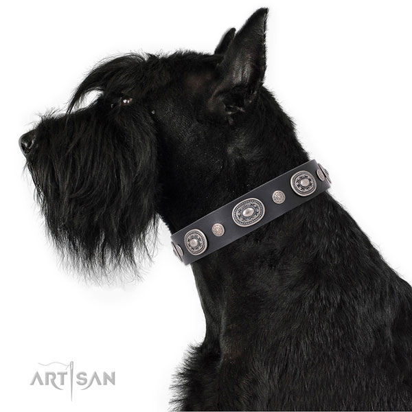 Rust resistant buckle and D-ring on genuine leather dog collar for stylish walking