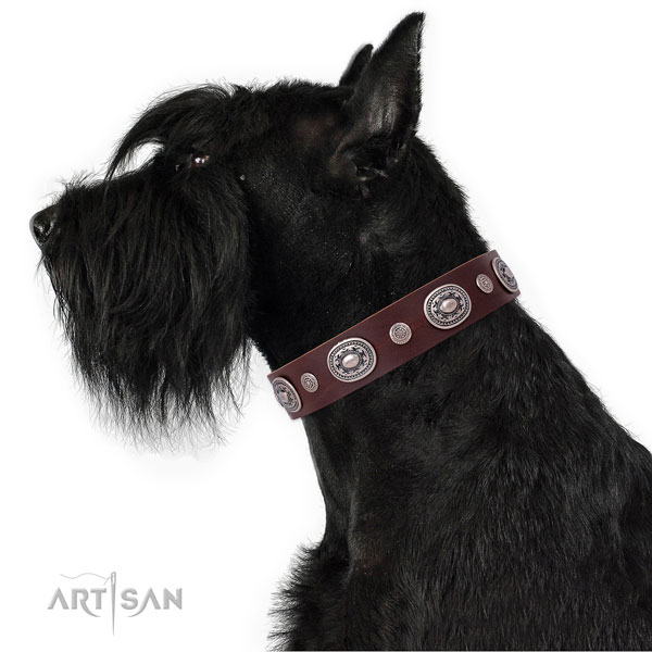 Durable buckle and D-ring on genuine leather dog collar for walking in style