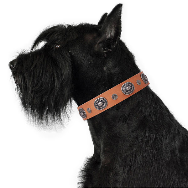 Leather dog collar with corrosion resistant buckle and D-ring for handy use